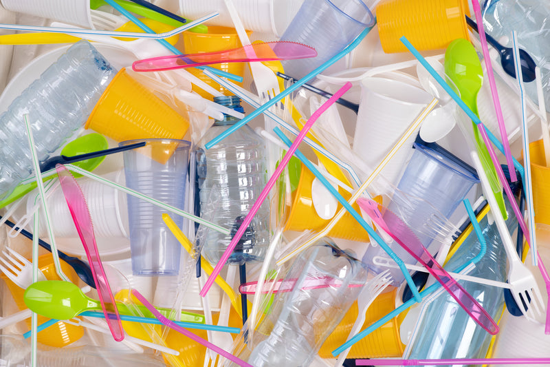 Are your ready for the Single-Use Plastic Ban? image
