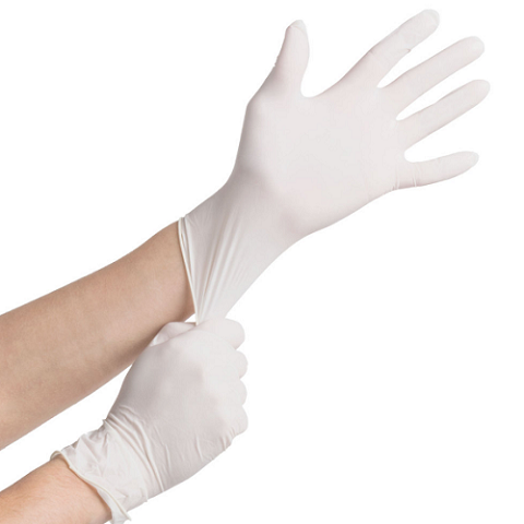 Latex Powder Free Glove - Showa
